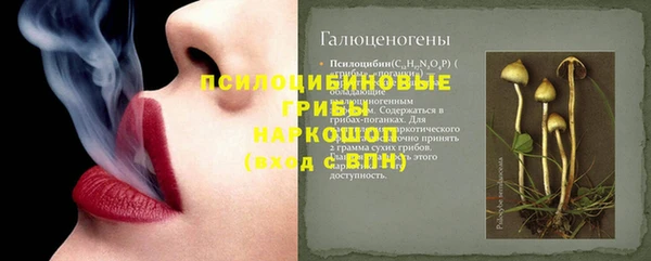 ECSTASY Алзамай