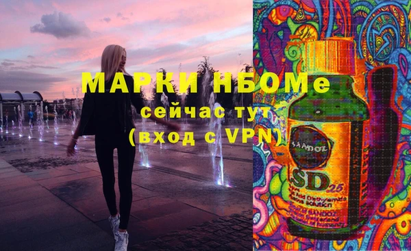 ECSTASY Алзамай