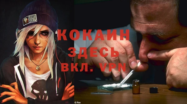 ECSTASY Алзамай