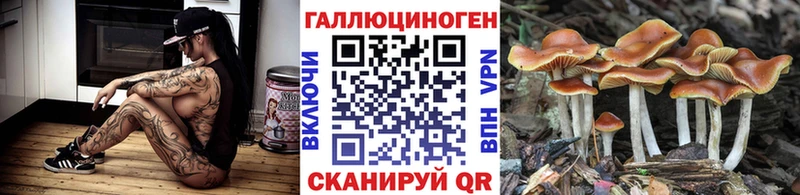 как найти закладки  Починок  Псилоцибиновые грибы GOLDEN TEACHER 