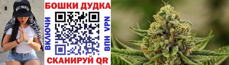 нарко площадка какой сайт Починок МАРИХУАНА LSD WEED
